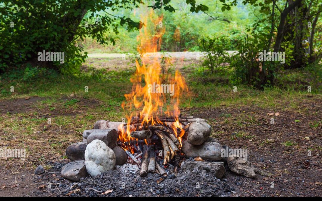 Interdiction de feux en forêt